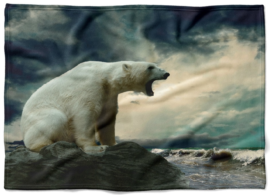 IMPAR Fleecová deka Lední medvěd 150x120 cm (Rozměr : 150 x 120 cm, Podšití beránkem: NE)