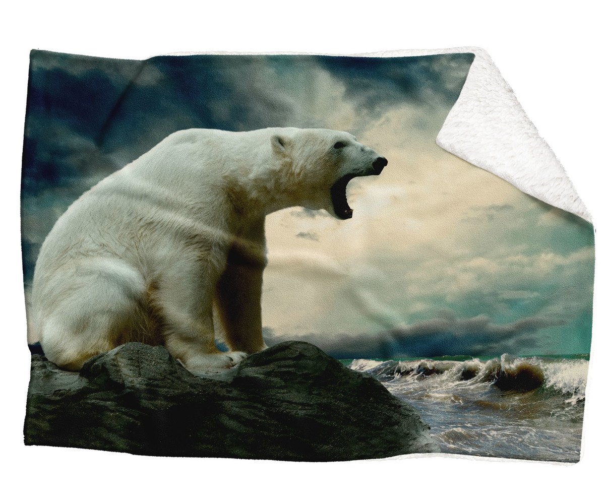 IMPAR Fleecová deka Lední medvěd 150x120 cm (Rozměr : 200 x 140 cm, Podšití beránkem: ANO)