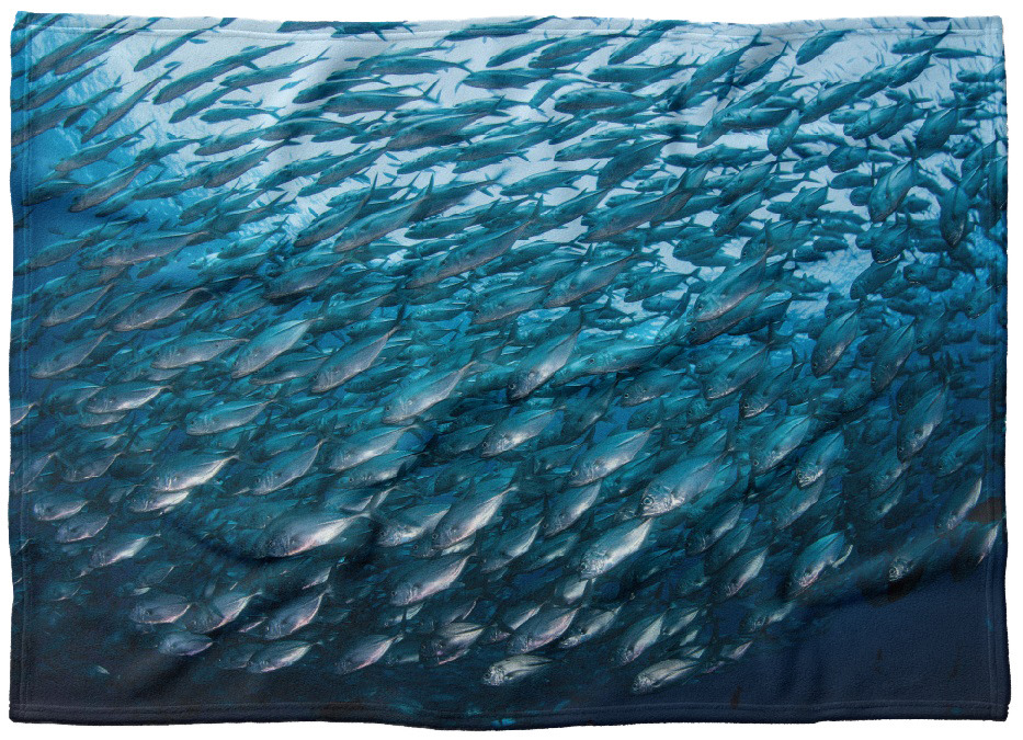 IMPAR Fleecová deka Hejno ryb 150x120 cm (Rozměr : 200 x 140 cm, Podšití beránkem: NE)