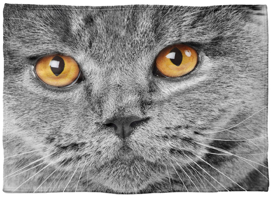 IMPAR Fleecová deka Kočičí pohled 150x120 cm (Rozměr : 150 x 120 cm, Podšití beránkem: NE)