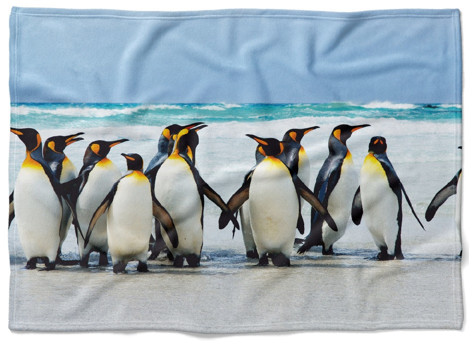 IMPAR Fleecová deka Tučňáci 150x120 cm (Rozměr : 200 x 140 cm, Podšití beránkem: NE)
