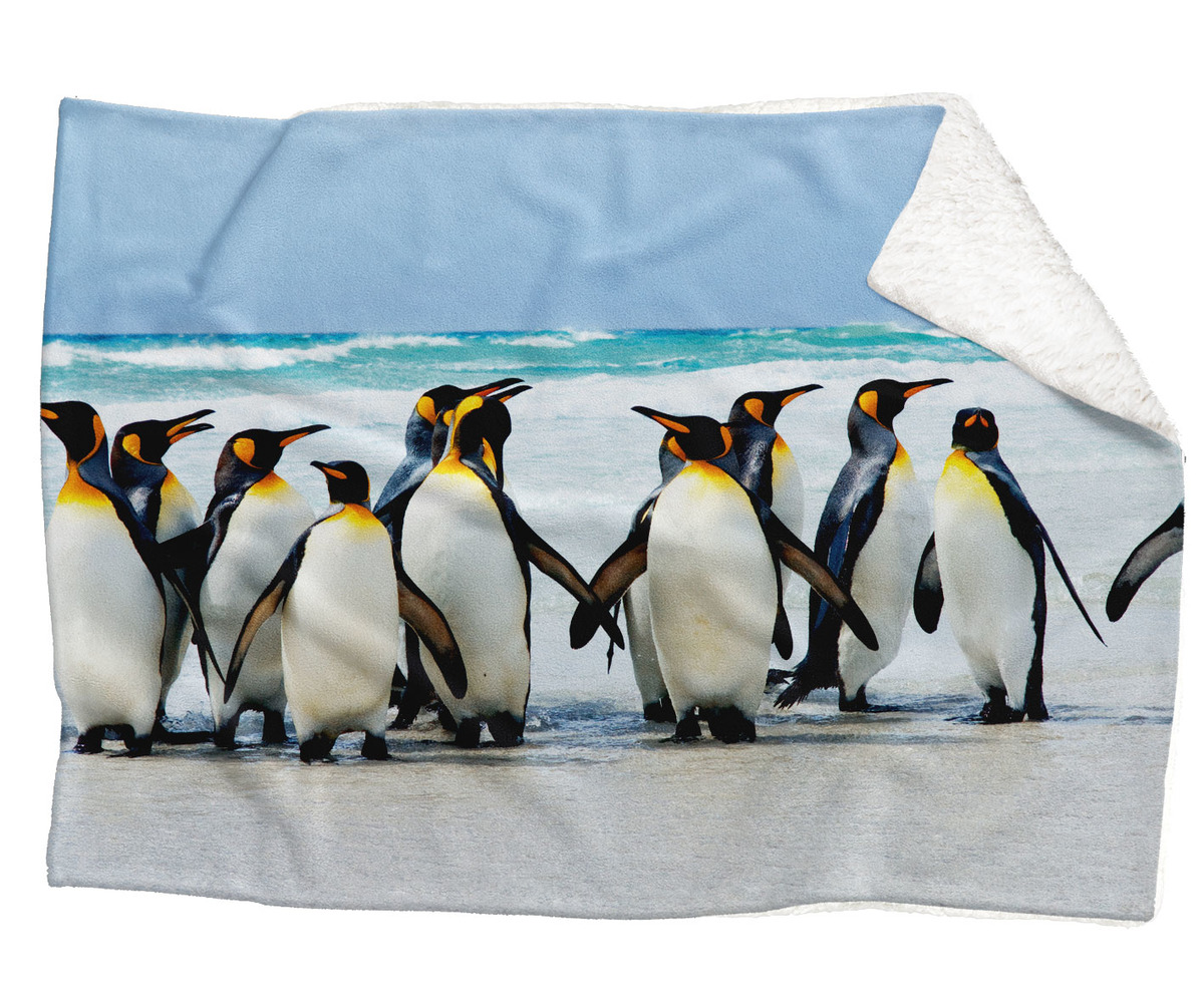 IMPAR Fleecová deka Tučňáci 150x120 cm (Rozměr : 200 x 140 cm, Podšití beránkem: ANO)