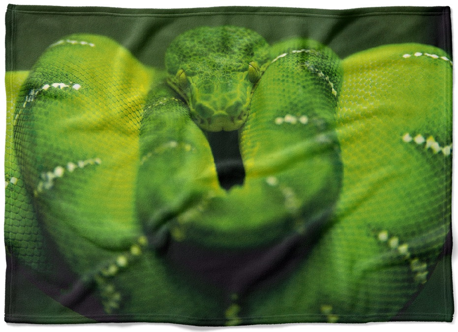 IMPAR Fleecová deka Zelený had 150x120 cm (Rozměr : 200 x 140 cm, Podšití beránkem: NE)