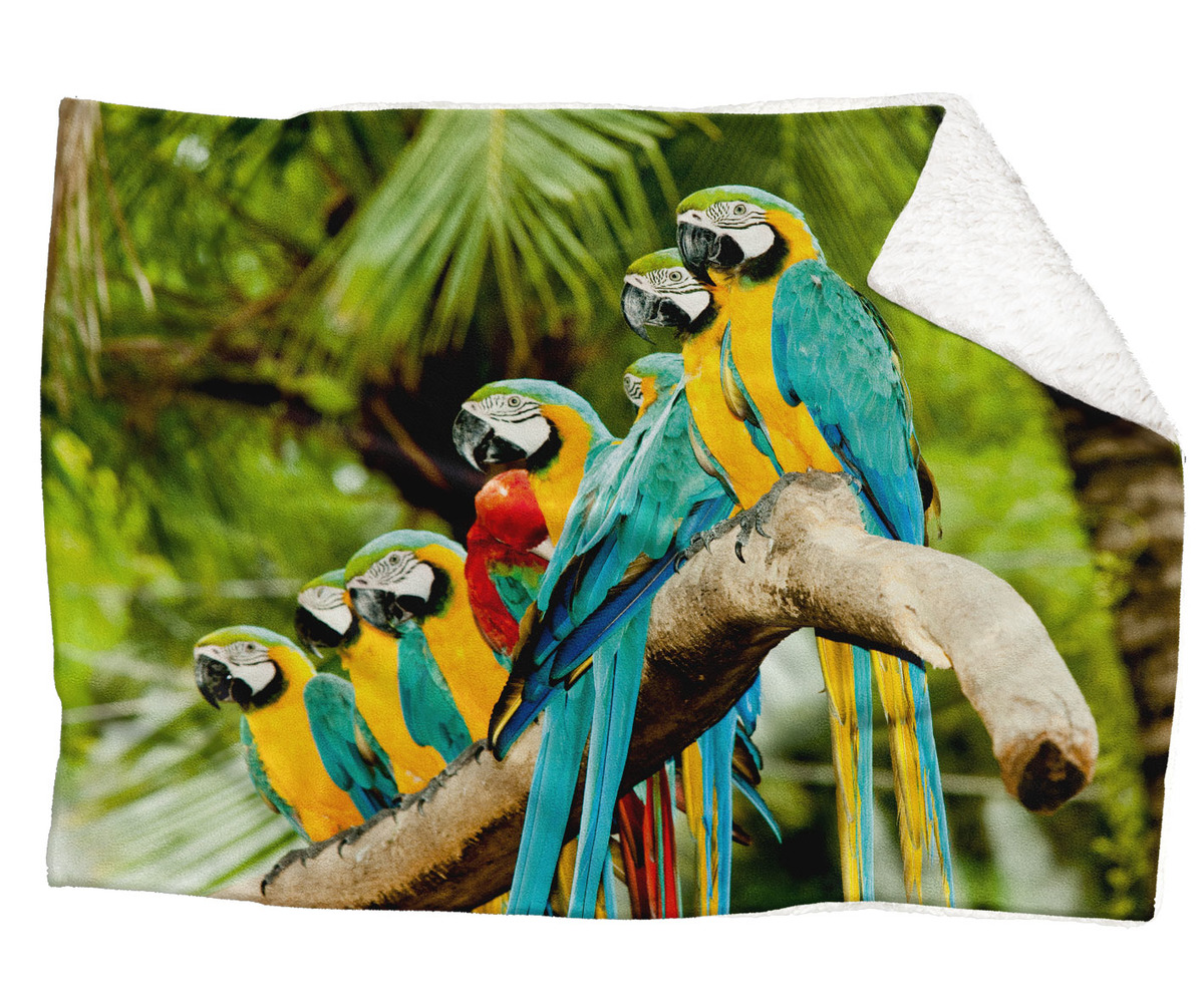 IMPAR Fleecová deka Papoušci 150x120 cm (Rozměr : 150 x 120 cm, Podšití beránkem: ANO)