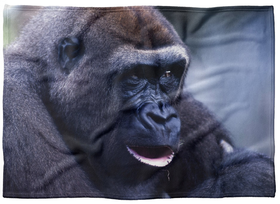 IMPAR Fleecová deka Gorila 150x120 cm (Rozměr : 200 x 140 cm, Podšití beránkem: NE)