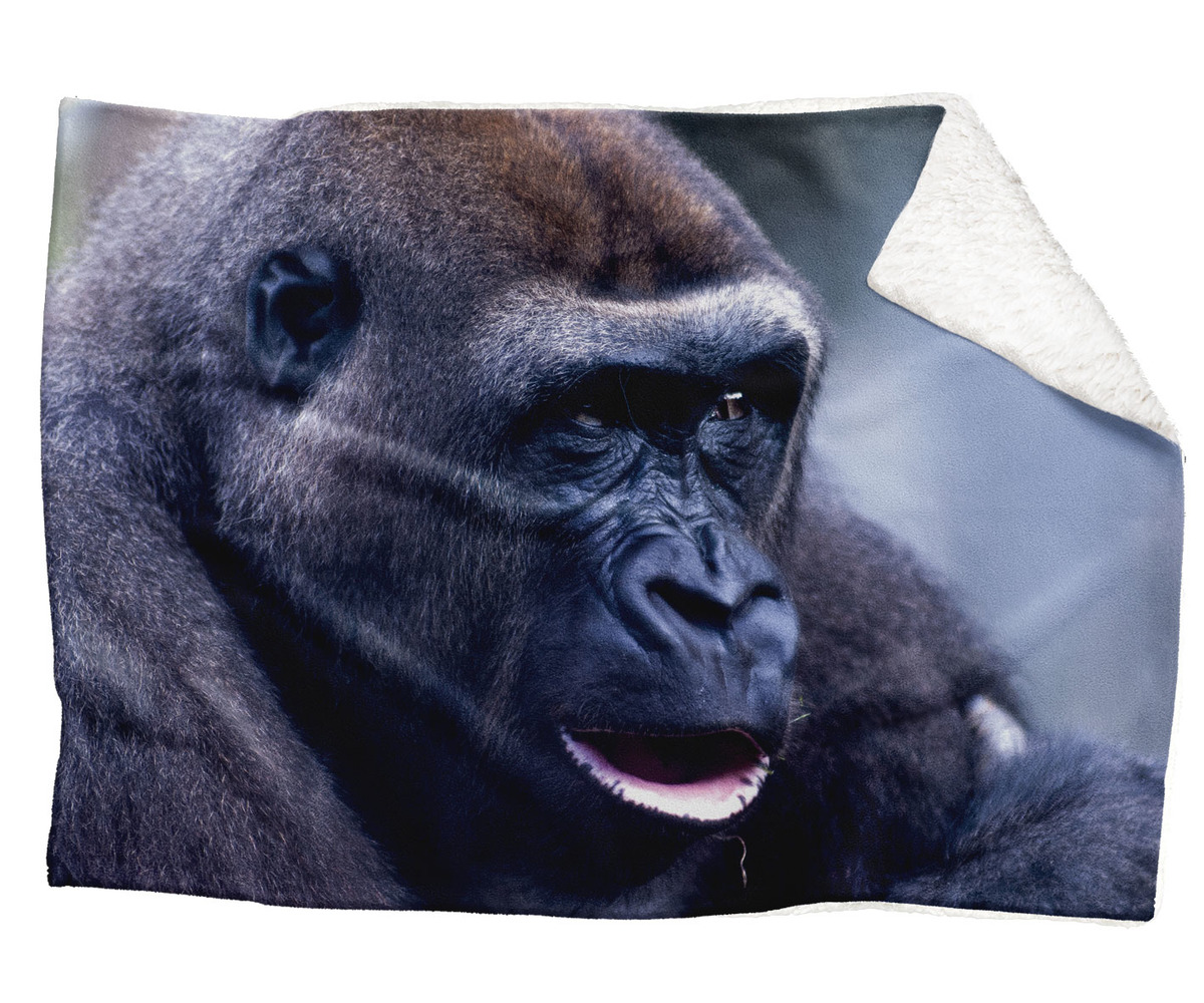 IMPAR Fleecová deka Gorila 150x120 cm (Rozměr : 200 x 140 cm, Podšití beránkem: ANO)