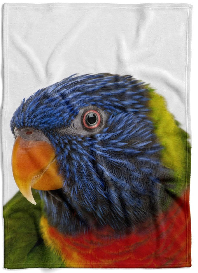 Deka Barevný papoušek (Rozměr : 200 x 140 cm, Podšití beránkem: NE)
