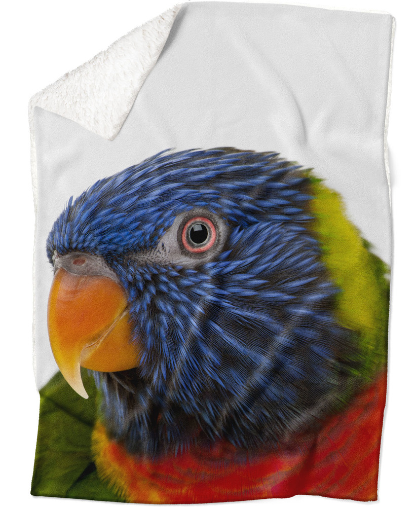Deka Barevný papoušek (Rozměr : 200 x 140 cm, Podšití beránkem: ANO)