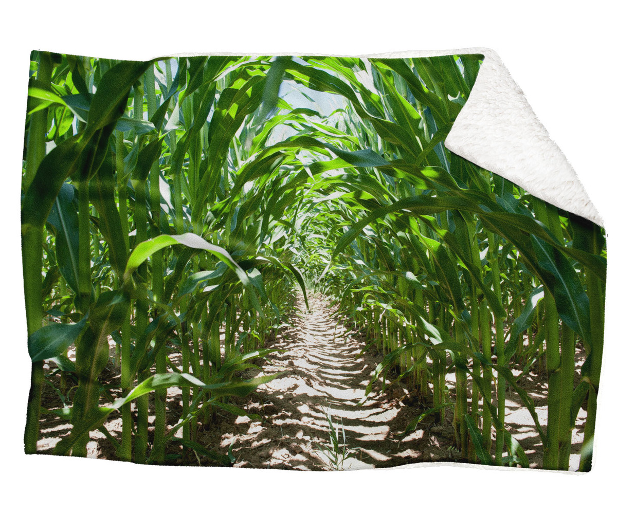 Deka Kukuřičné pole (Rozměr : 150 x 120 cm, Podšití beránkem: ANO)