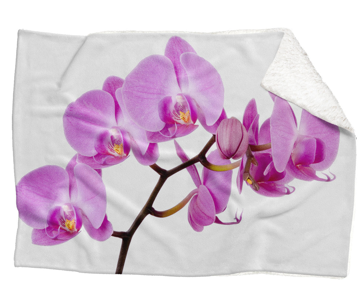 Deka Růžová orchidej (Rozměr : 200 x 140 cm, Podšití beránkem: ANO)