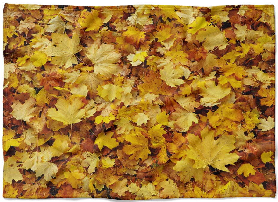 IMPAR Fleecová deka Listí 150x120 cm (Rozměr : 150 x 120 cm, Podšití beránkem: NE)
