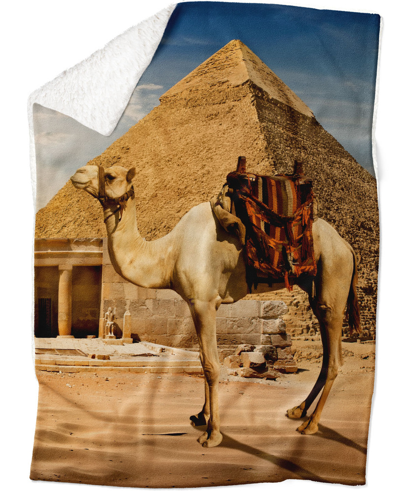 Deka Velbloud u pyramidy (Rozměr : 150 x 120 cm, Podšití beránkem: ANO)